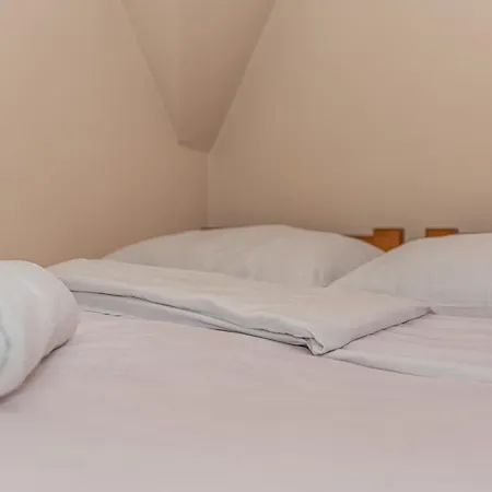 Goscinne Baja Na Olczy Homestay Zakopane