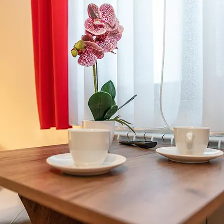 Goscinne Baja Na Olczy Homestay *