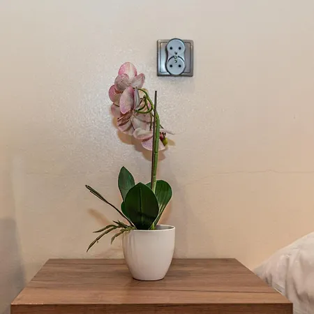 Homestay Goscinne Baja Na Olczy *